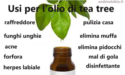 olio-di-tea-tree1