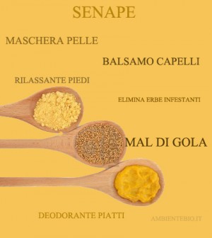 proprietà senape