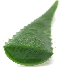 gel aloe