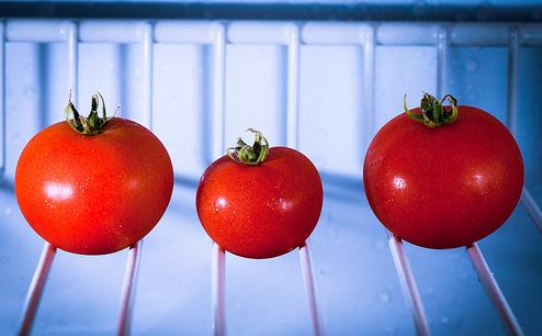 conservare i pomodori 7 alimenti che non dovrebbero essere conservati in frigo